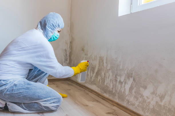 Mold Remediation specialist working in Haltom City